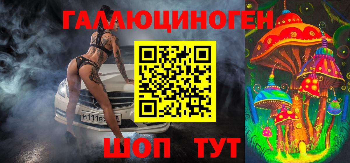 Псилоцибиновые грибы Psilocybe Губкин