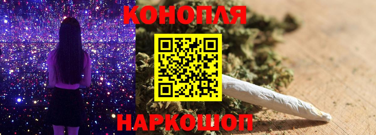 Канабис конопля Губкин